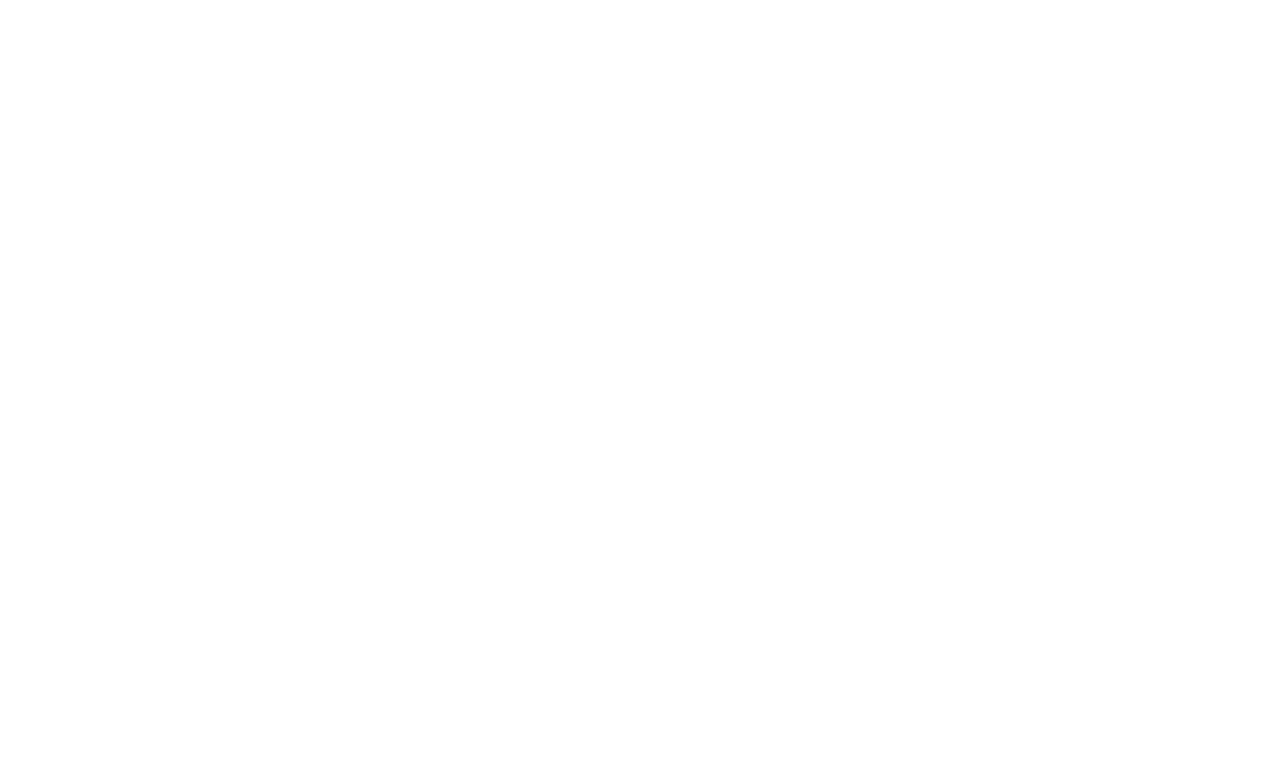 big-logo